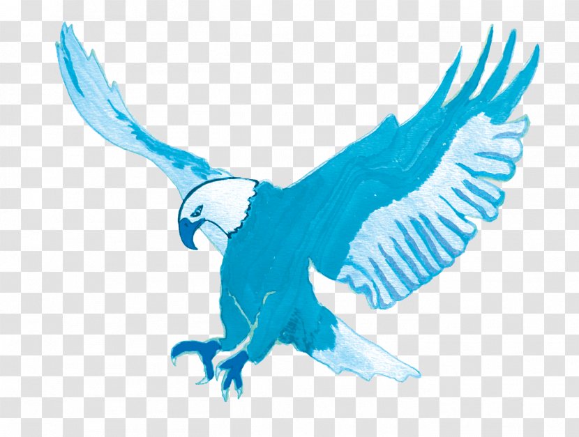 Bird Of Prey Beak Eagle Wildlife - Wing - Blue Fire Transparent PNG