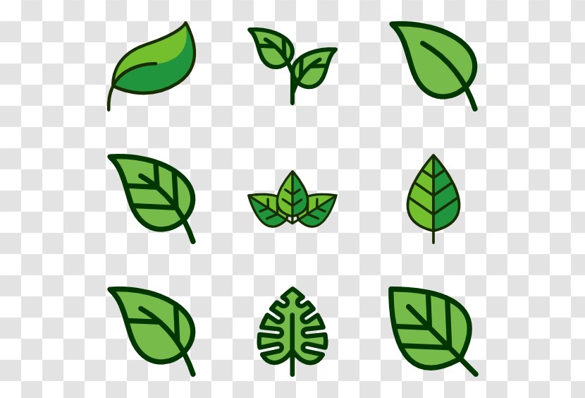Green Beans - Plant Stem - Symbol Transparent PNG