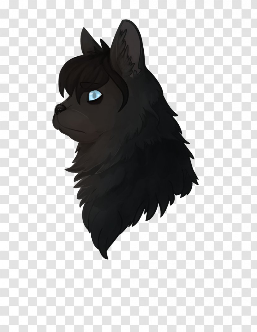 Whiskers Dog Cat Fur Snout Transparent PNG