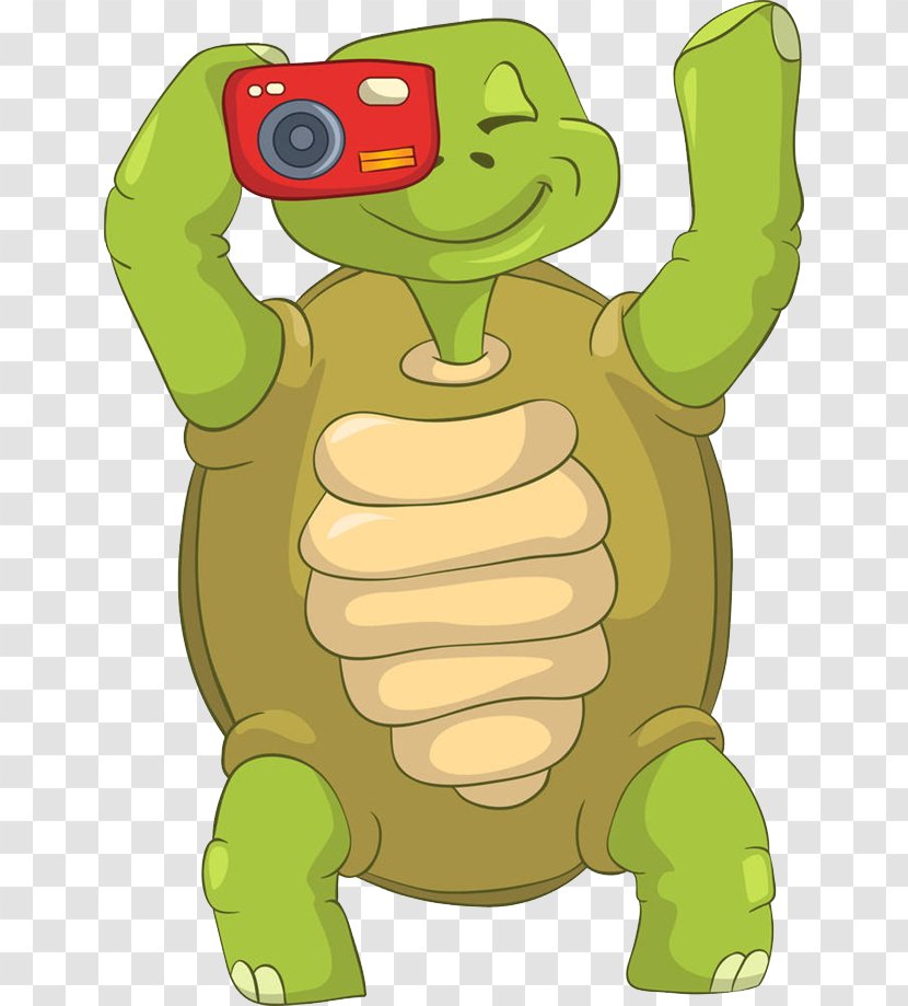 Turtle Photography Photographer Clip Art - Drawing - Camera Transparent PNG