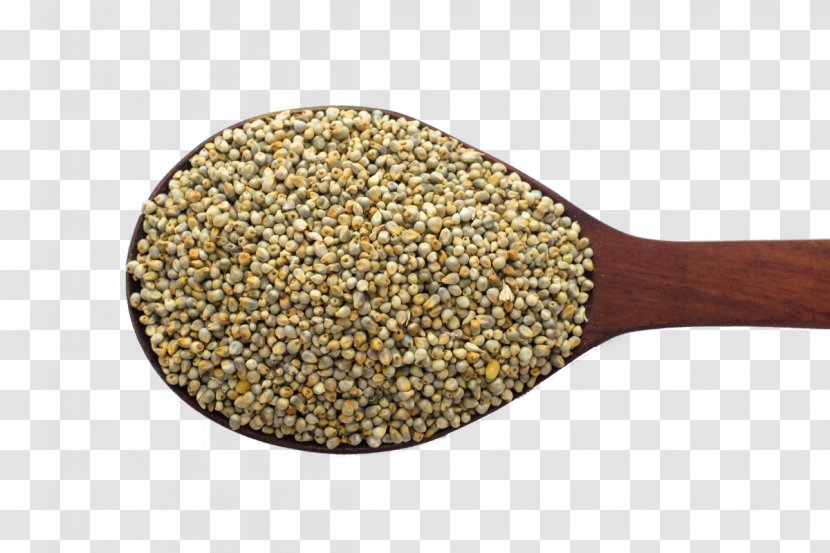 Pearl Millet Foxtail Seed Proso - Protein Transparent PNG