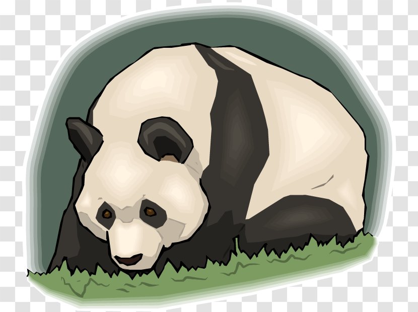 Giant Panda Windows Metafile Drawing Clip Art - Information - Bear Transparent PNG