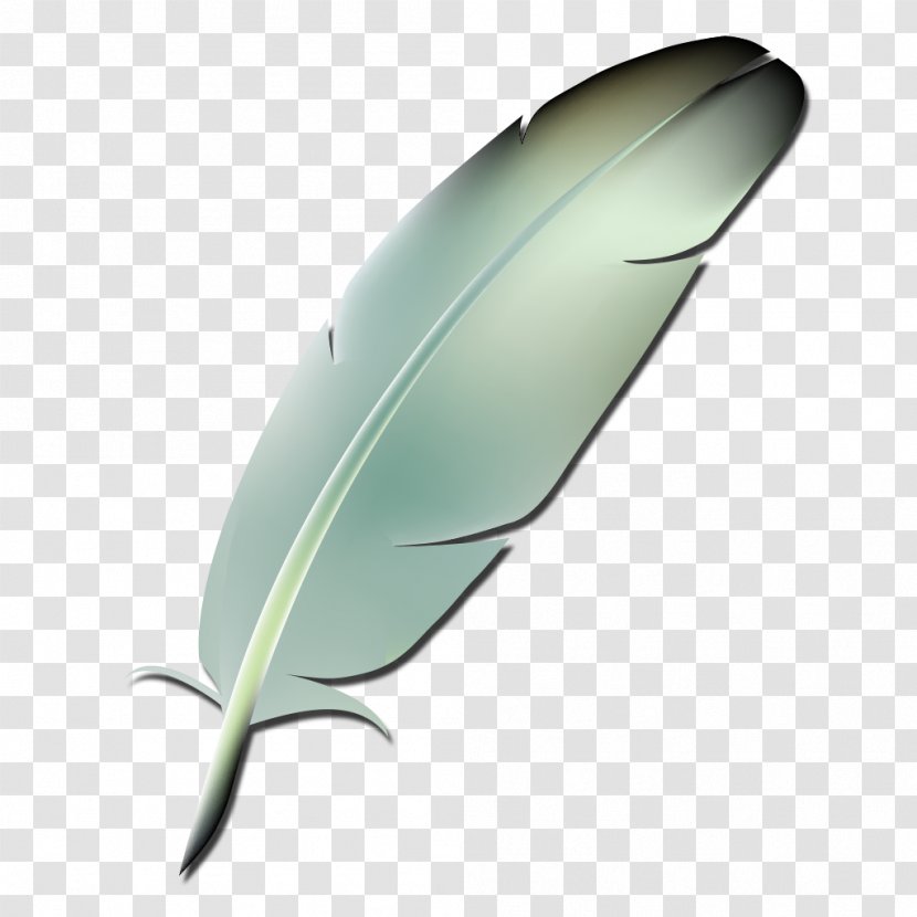 Feather - Leaf Transparent PNG