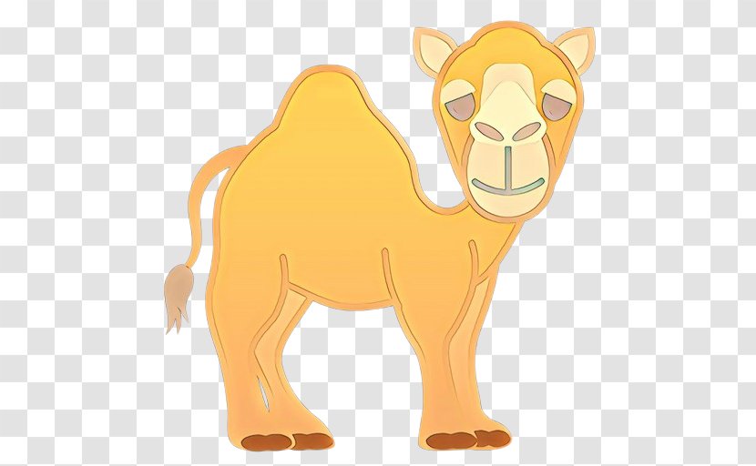 Arabian Camel Dromedary Bactrian Lion - Wildlife Fawn Transparent PNG