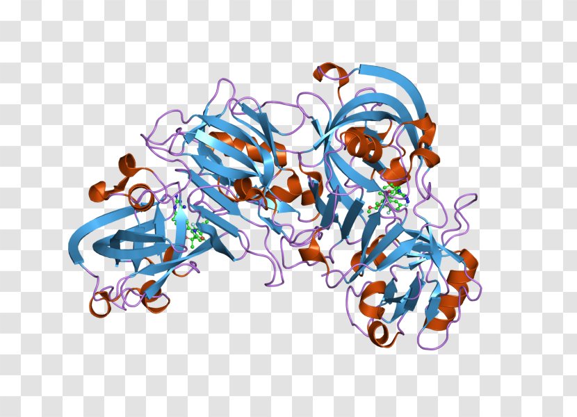 Renin Kidney Enzyme Lipotropin Vasopressin - Posterior Pituitary - Endorphins Transparent PNG