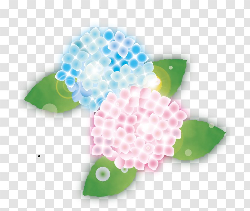 Watercolor Hydrangea Flower. - French - Organism Transparent PNG