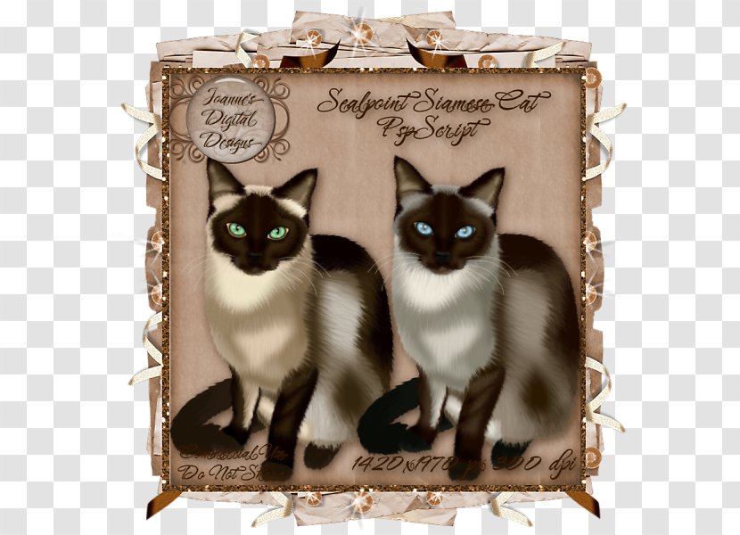 Whiskers Kitten Domestic Short-haired Cat Black - Letter Transparent PNG