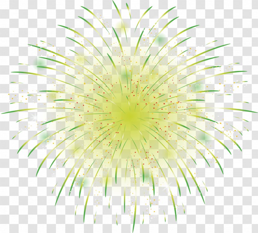 Green Flash Light - Flower - Beautiful Fireworks Transparent PNG