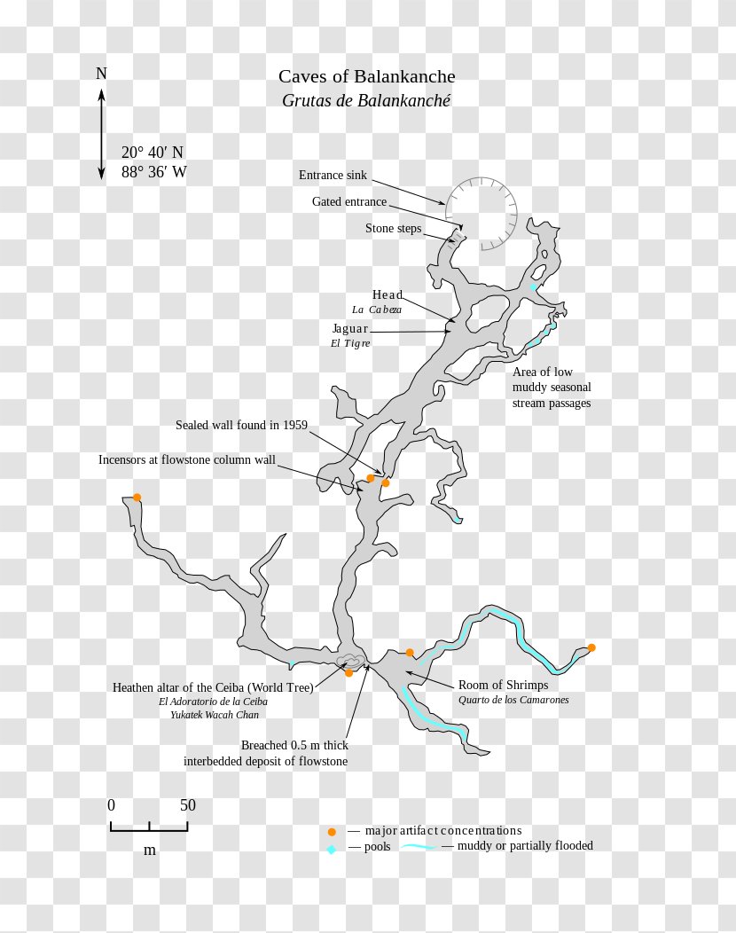 Line Angle Diagram - Branch Transparent PNG