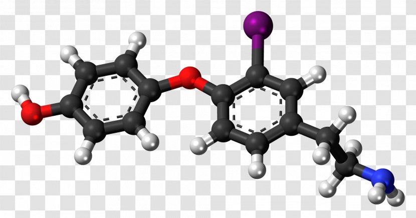 Tyrosine Ball-and-stick Model Amino Acid Chemistry Zwitterion - Phenylalanine - Thyroid Hormones Transparent PNG