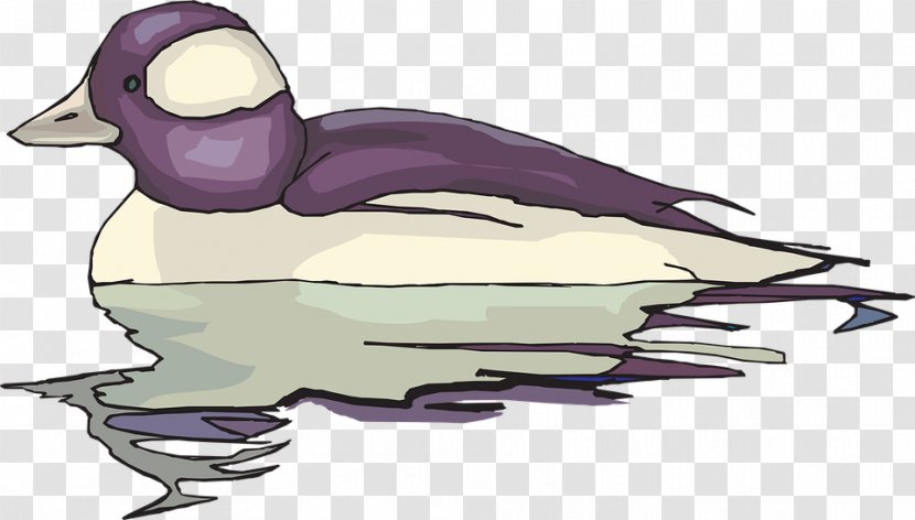 Daisy Duck Clip Art - Bird Transparent PNG