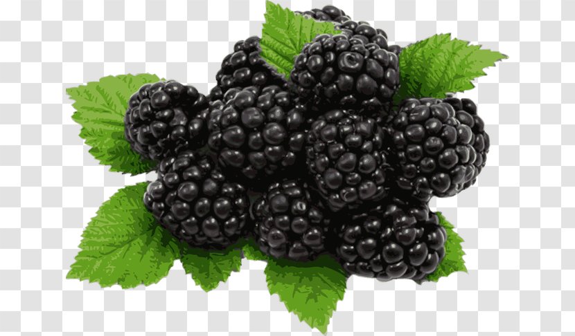 Blackberry Pie Organic Food Fruit Flavor Transparent PNG
