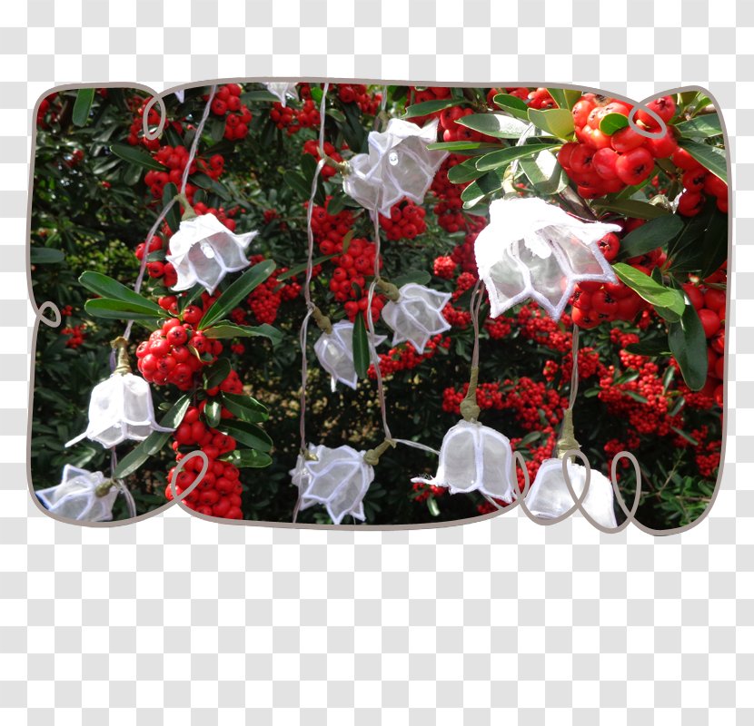 Cut Flowers Rose Machine Embroidery - Lily Of The Valley Transparent PNG