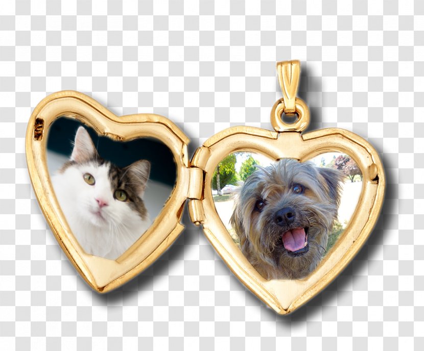 Dog Breed Locket Puppy Love - Carnivoran - Annual Show Board Transparent PNG