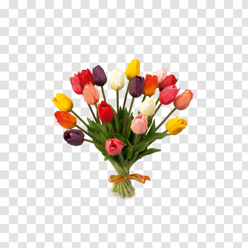 House Of Tulips See Buy Fly Cut Flowers - Plant - Tulip Transparent PNG