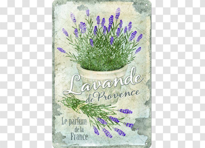Paper Provence Vintage Clothing French Lavender Decoupage - Scrapbooking - Flowering Plant Transparent PNG