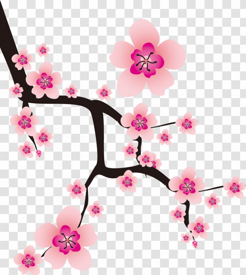 Plum Blossom Cherry Flower - Plant - Oriental Transparent PNG