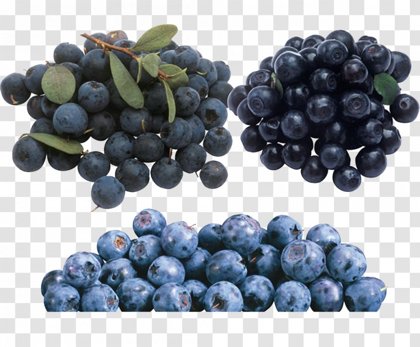 European Blueberry Clip Art - Grape Seed Extract - Ripe Arbutin Material Map Transparent PNG