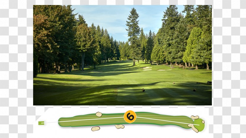 Golf Clubs Course Lawn - Club - Womens Pga Championship Transparent PNG