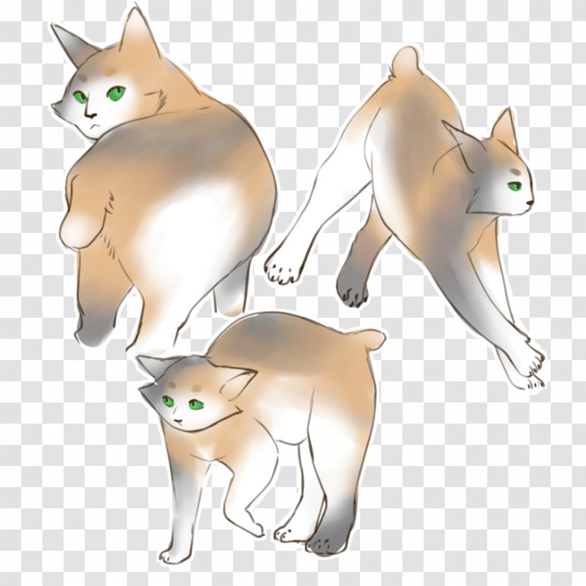 Whiskers Kitten Cat Canidae Dog - Watercolor Transparent PNG