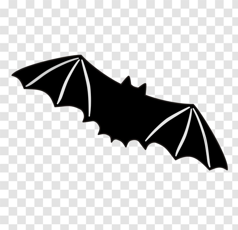 Bat Free Content Clip Art - Wing - Halloween Bats Clipart Transparent PNG