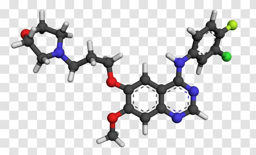 Wikipedia Afatinib Isotretinoin Gefitinib Pharmaceutical Drug - Tretinoin Transparent PNG
