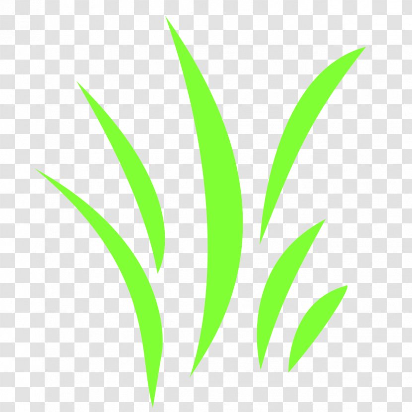 Leaf Grasses Plant Stem Font - Grass - Green Transparent PNG