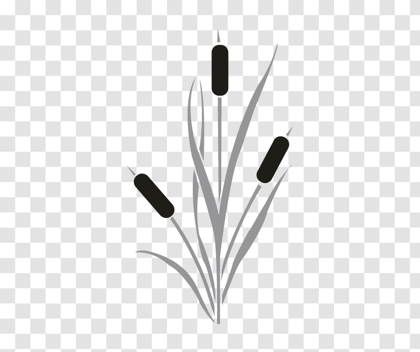 Cattail Drawing Clip Art - Silhouette - Saw Transparent PNG