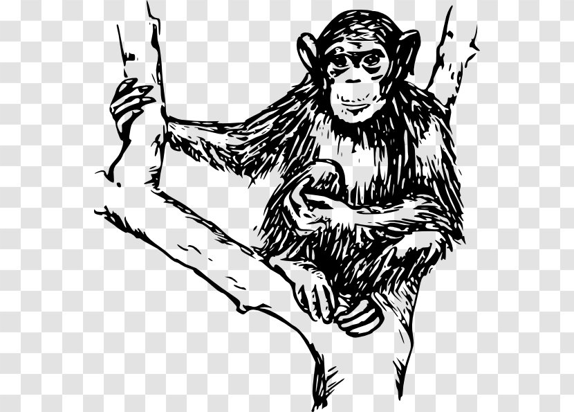 Ape Chimpanzee Monkey Clip Art - Tree Transparent PNG