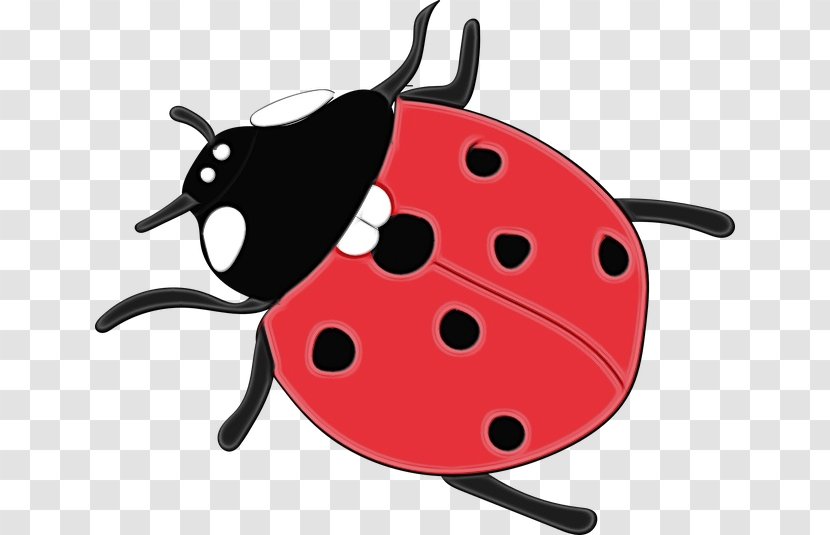 Ladybug - Wet Ink - Leaf Beetle Transparent PNG