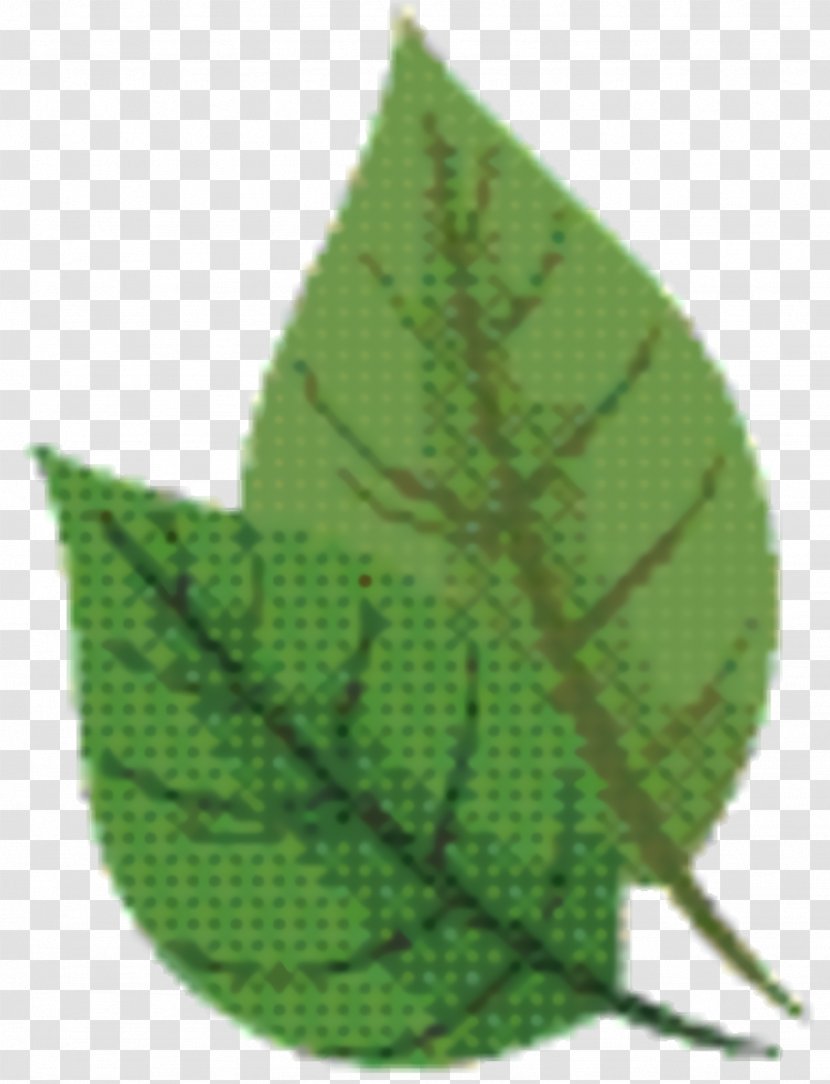 Green Leaf Background - Plant Pathology Flower Transparent PNG