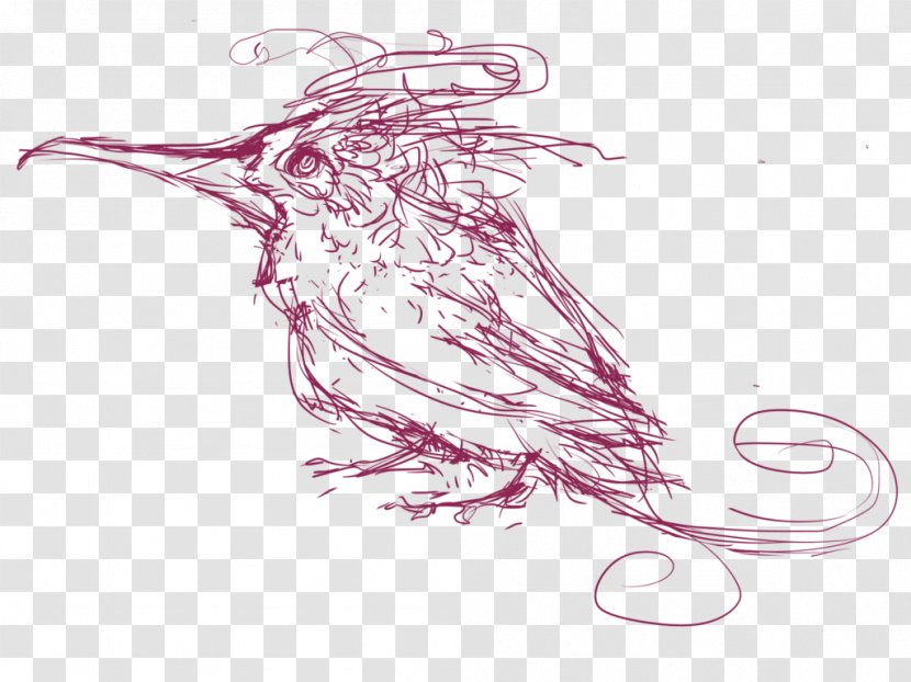 Beak Line Art Invertebrate Sketch - Artwork - Hummingbird Transparent PNG