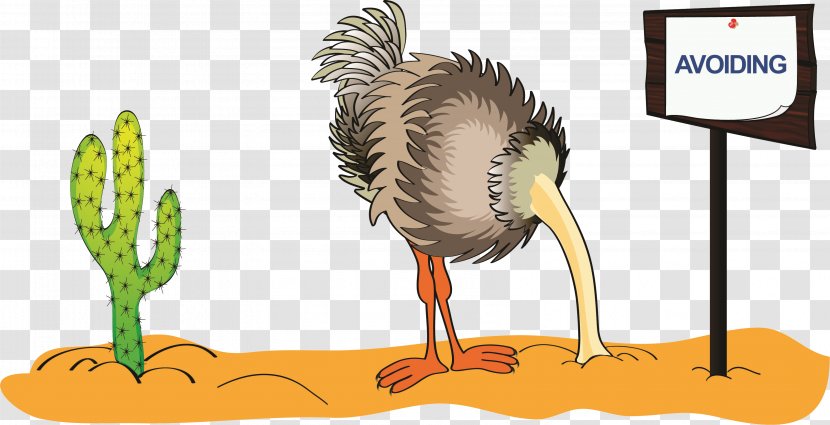 Common Ostrich Stock Photography Royalty-free Clip Art - Flightless Bird - Risk Transparent PNG
