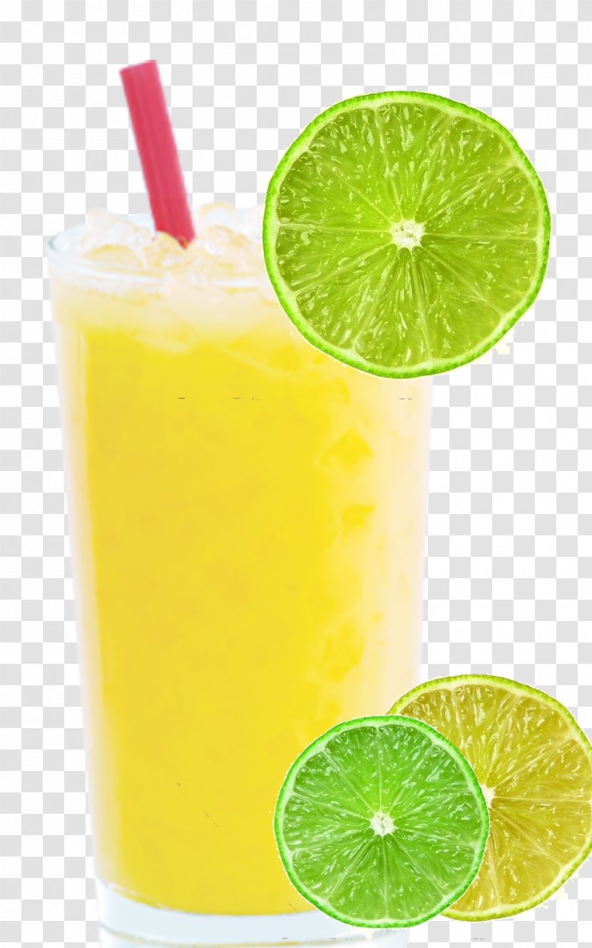 Orange Juice Sea Breeze Fuzzy Navel Caipirinha - Creative Iced Pineapple Transparent PNG