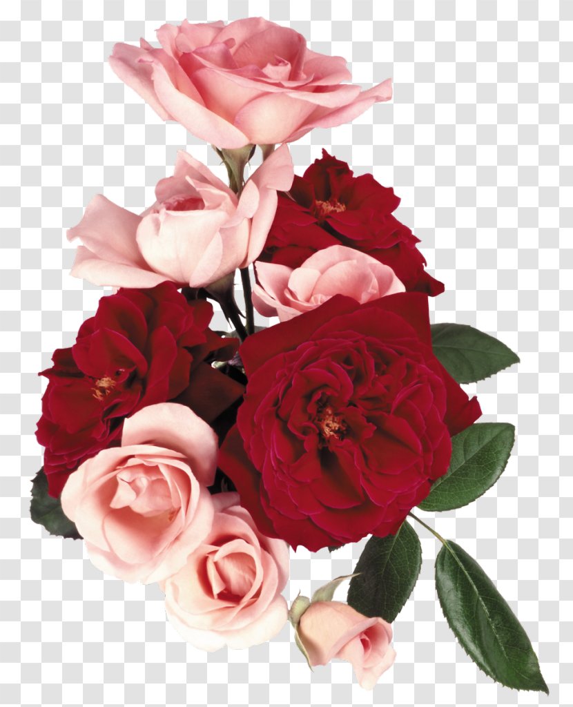 Garden Roses Flower Bouquet Cabbage Rose Floral Design - Order Transparent PNG