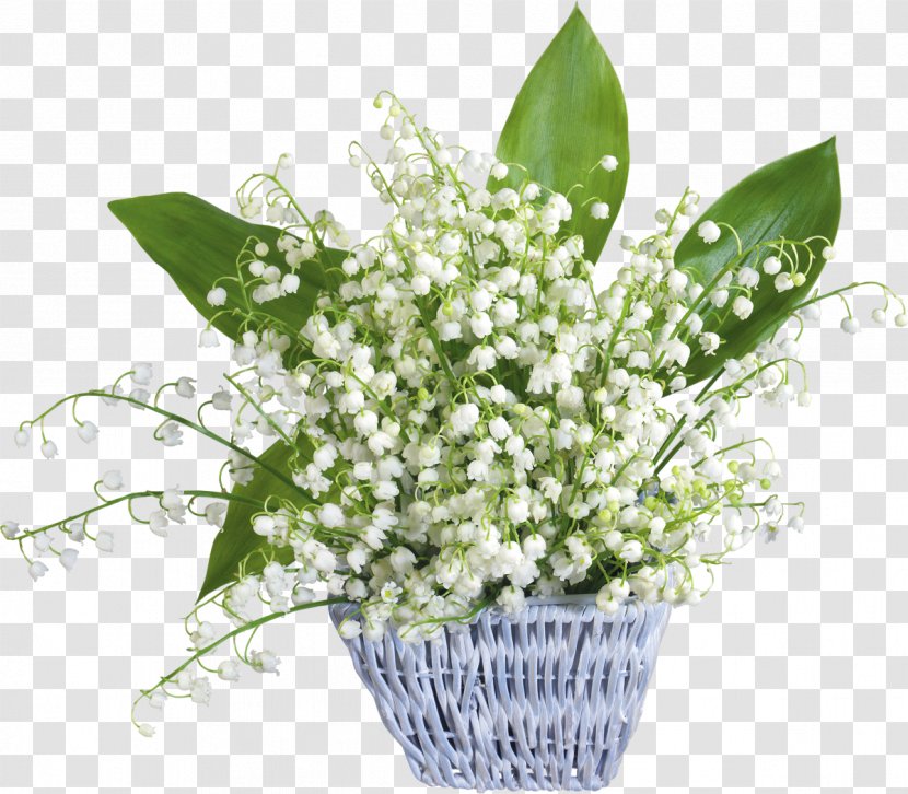 Lily Of The Valley May 1 Party Labour Day Transparent PNG