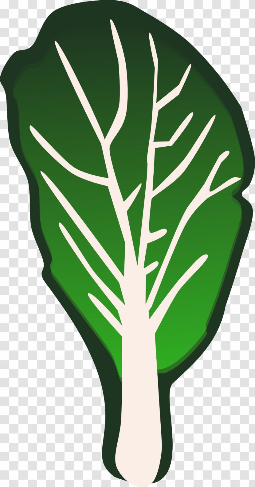 Leaf Vegetable Lettuce Clip Art - Green Cabbage Leaves Transparent PNG