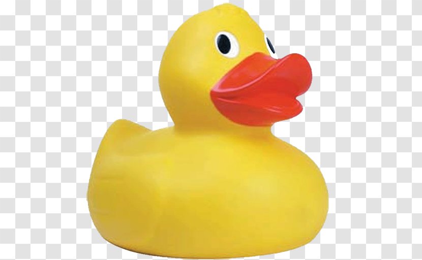 Rubber Duck Mallard Ernie Big - American Pekin - DUCK Transparent PNG