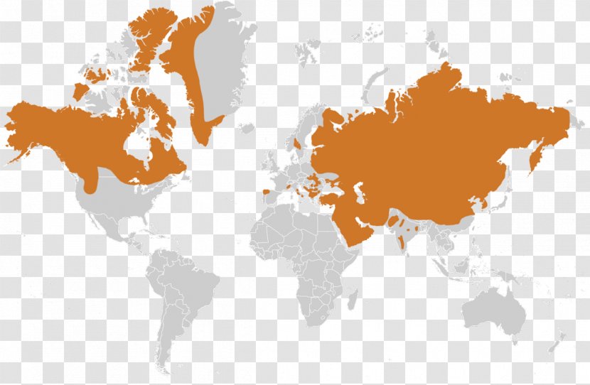 World Map Globe Mercator Projection Transparent PNG