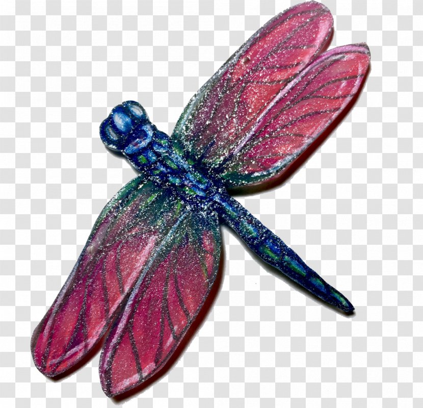 Résumé Template Insect Teacher Dragonfly - Pollinator - Butterfly Goldfish Transparent PNG