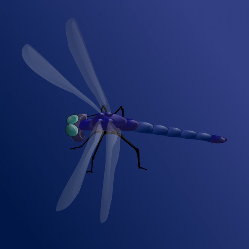Insect Dragonfly Clip Art - Dragonflies And Damseflies Transparent PNG