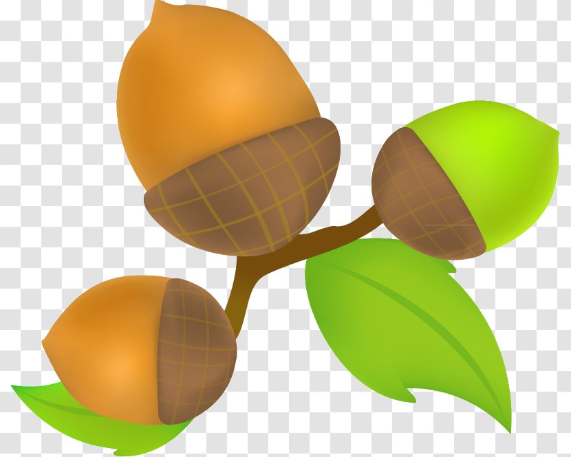 Kiwifruit Oyumino Cartoon - Tree - Kiwi Decoration Transparent PNG