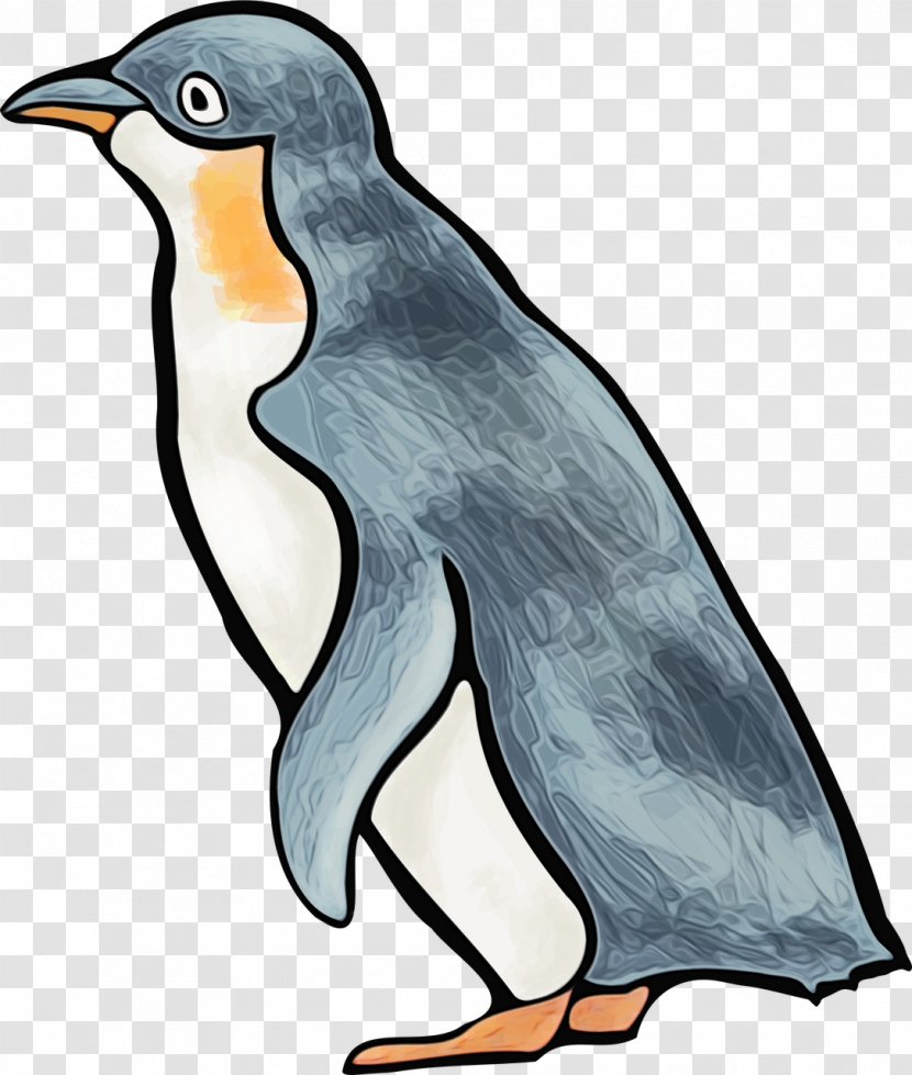 Penguin - Beak - Animal Figure King Transparent PNG