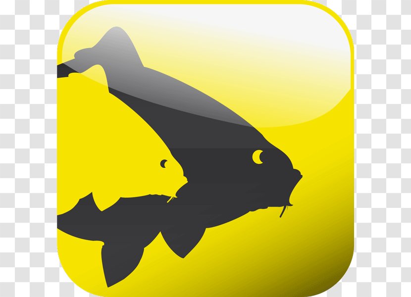 Carp Fishing Angling Avid - France - Silhouette Transparent PNG