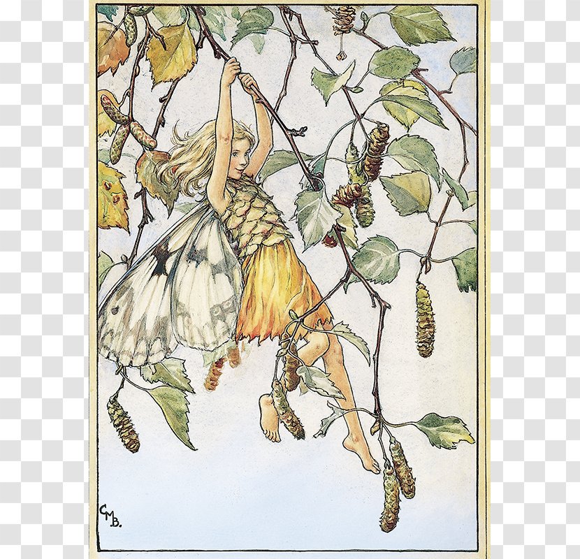 The Book Of Flower Fairies Summer Fairy Silver Birch - Insect Transparent PNG