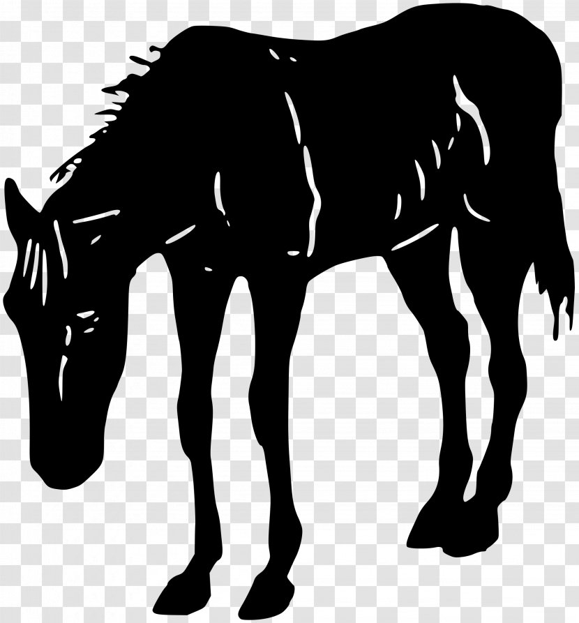 Horse Clip Art - Horses Transparent PNG