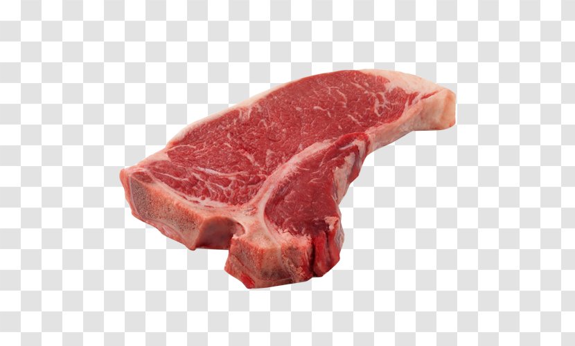 Angus Cattle T-bone Steak Beef Tenderloin - Watercolor - Meat Transparent PNG