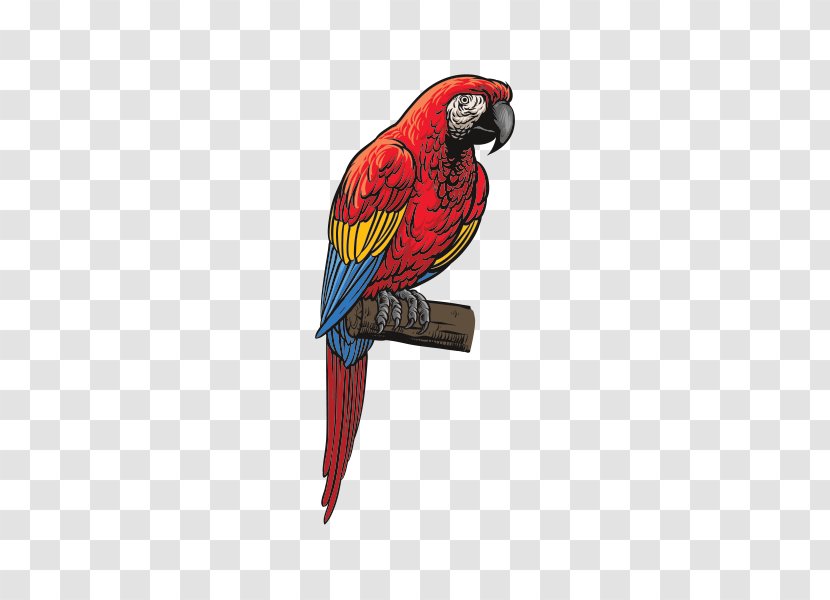 Blue-and-yellow Macaw Parrot Loriini Parakeet - Lorikeet Transparent PNG