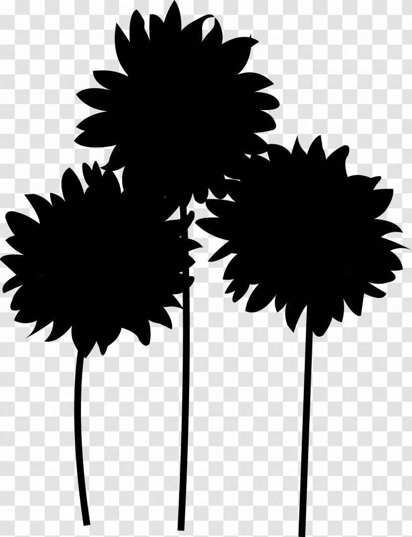 Leaf Daisy Family Plant Stem Silhouette Tree - Blackandwhite - Palm Transparent PNG
