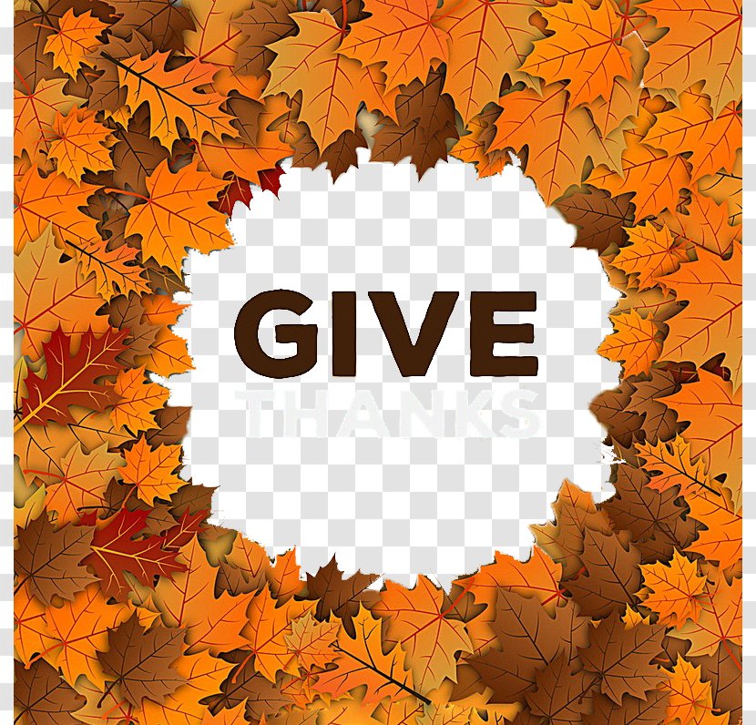 Thanksgiving Leaf Icon - Give Thanks With A Grateful Heart - Autumn Leaves Poster Label Background Transparent PNG